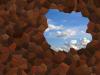 hole