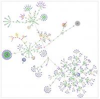 IT Skeptic site graph