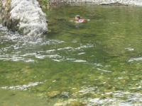 jack_in_pool